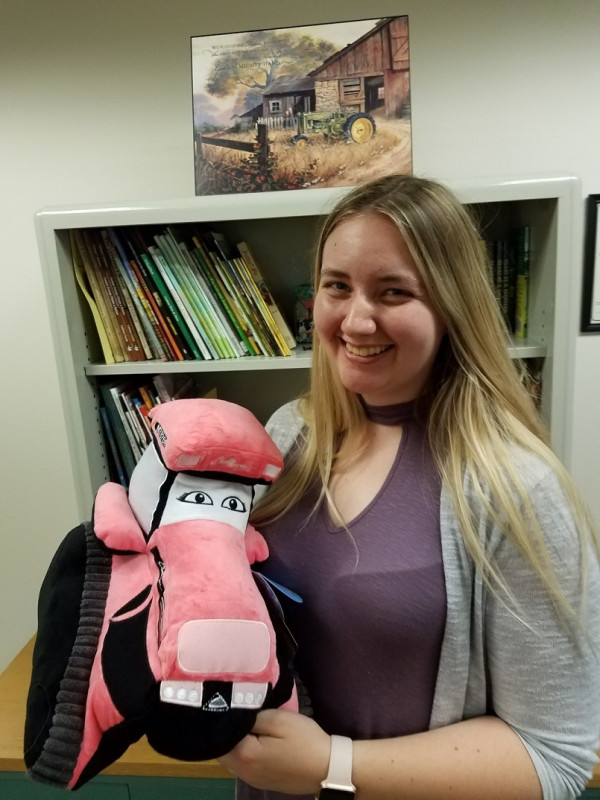 Pillow pet-1