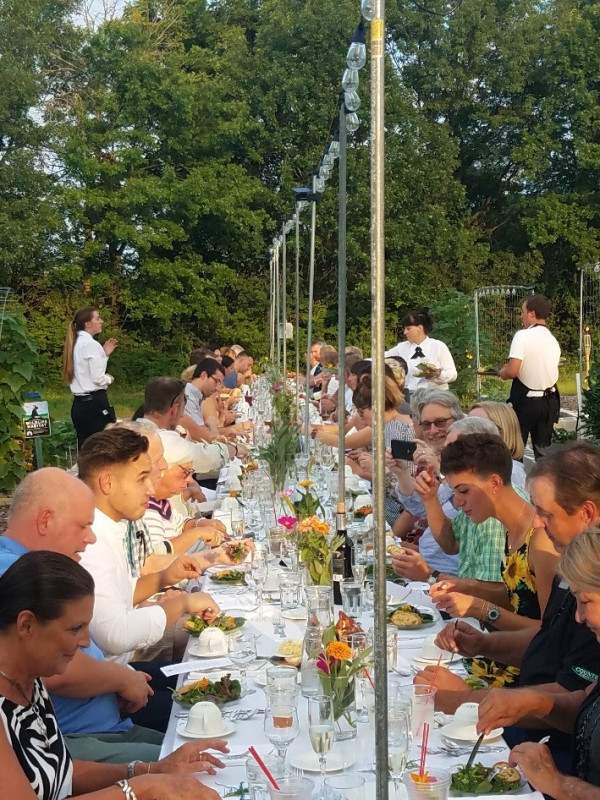 50 plus guest farm-to-table photo-1