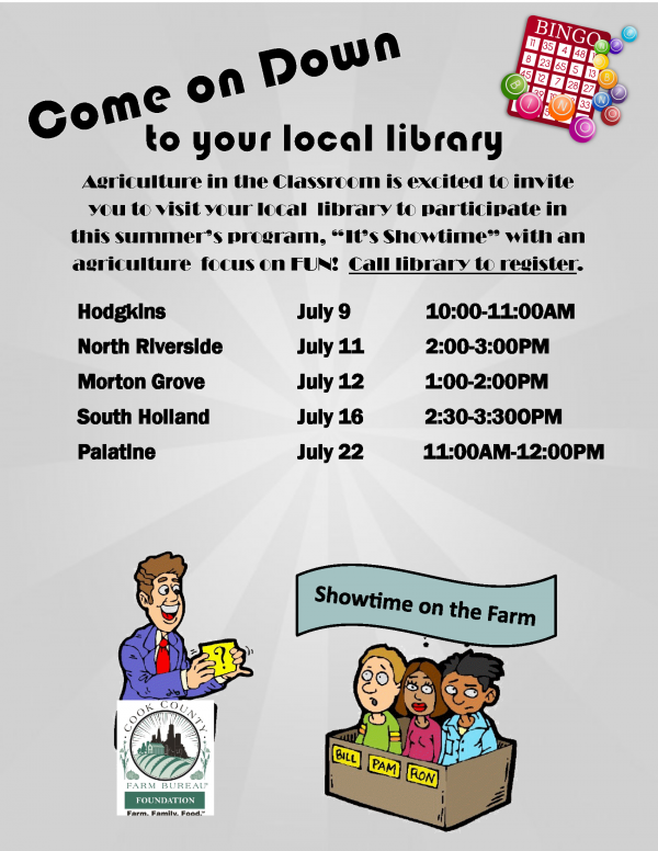 Summer flyer library program