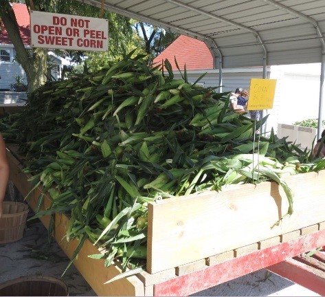 freshcornBultemasfarm crawl2019