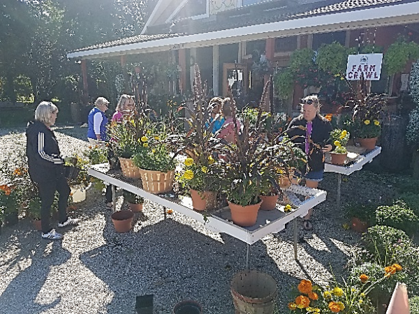 horcherfarm crawl2019