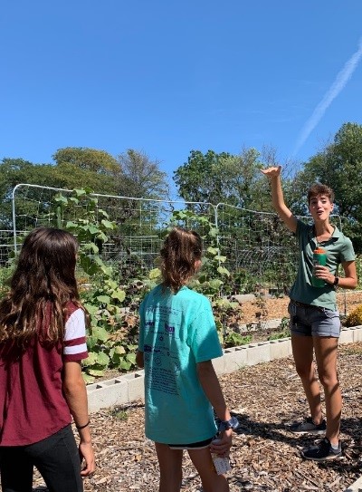 twinswAng fairwayfarm2019