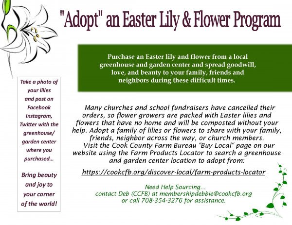 Adopt Lily Program Coop