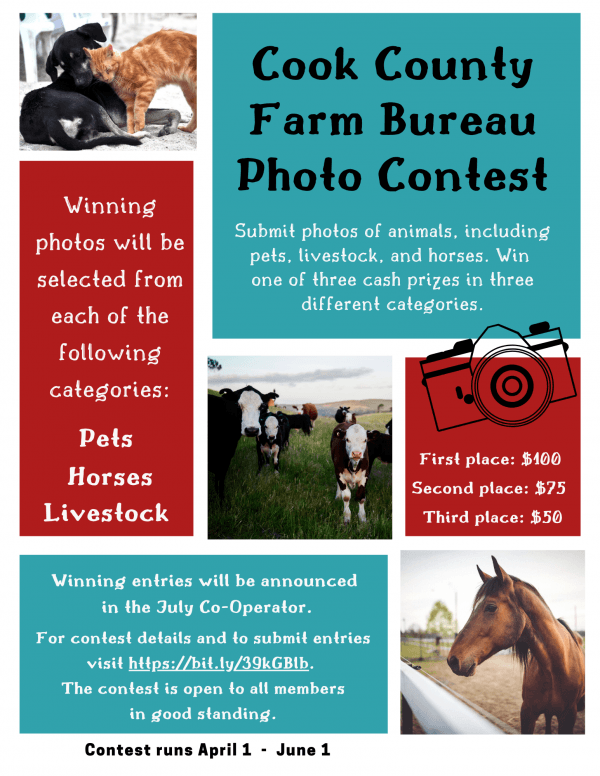 Cook County Farm Bureau Photo Contest 2