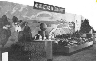 CC Exhibit