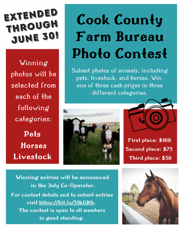 Cook County Farm Bureau Photo Contest