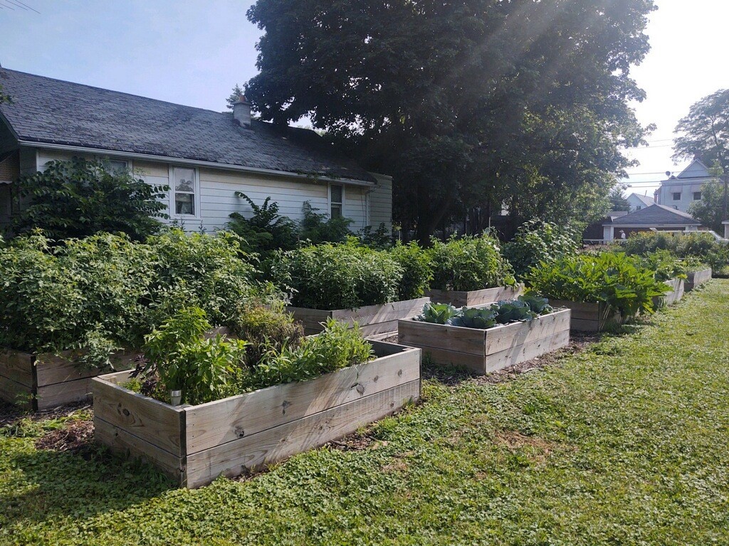 willard garden  pic 2