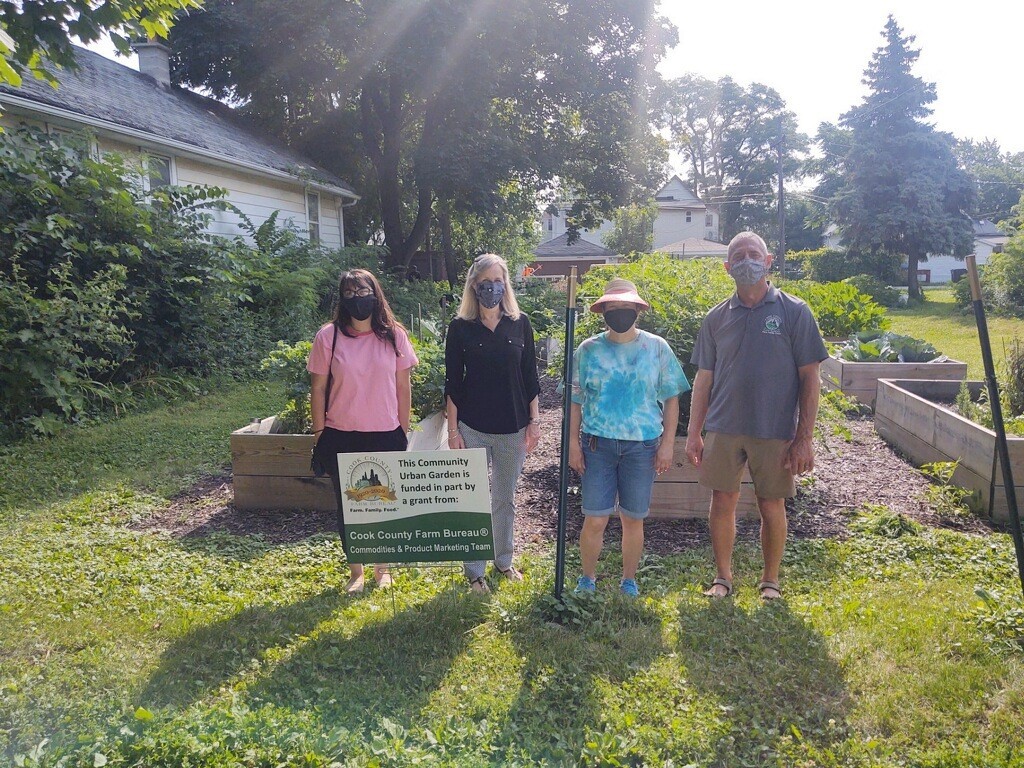 dan 3 volunteers
