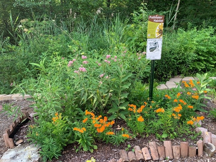 Palos park garden
