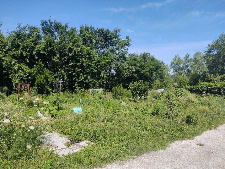 sacred green garden