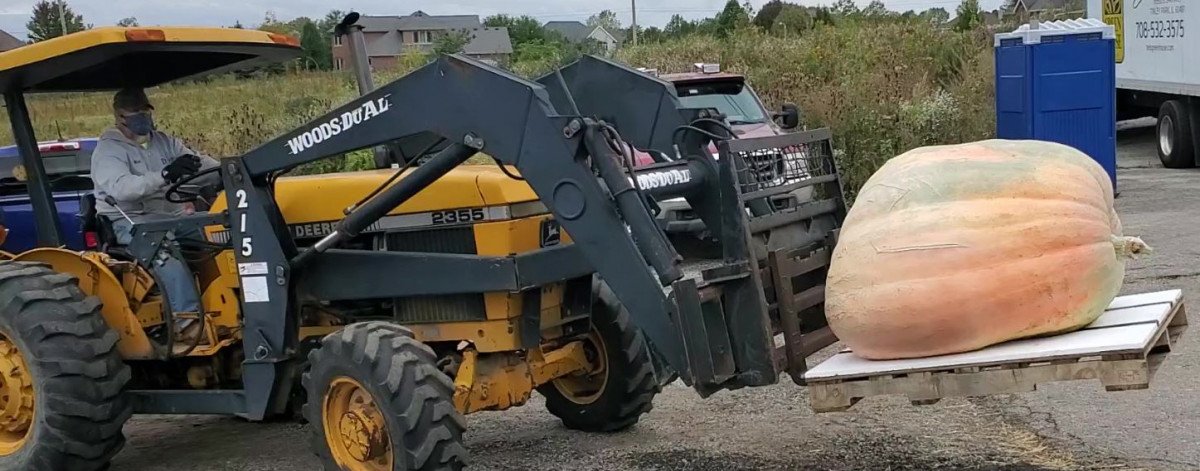 Rick of Puckerville Farms moves giant pumpkins with ease!