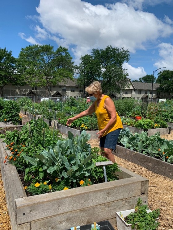 community garden 2