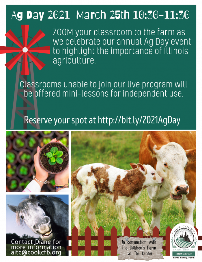 Flyer for Schools -1