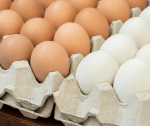 Eggs