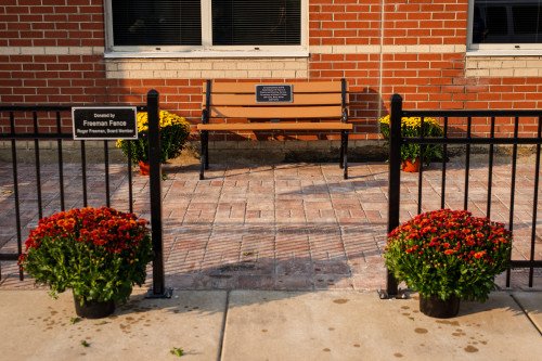 Patio  Mums