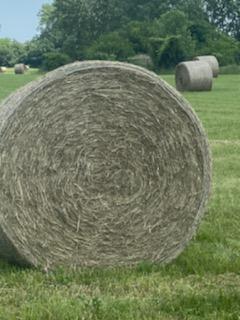 Large round hay bale