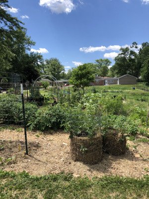Neola garden 3
