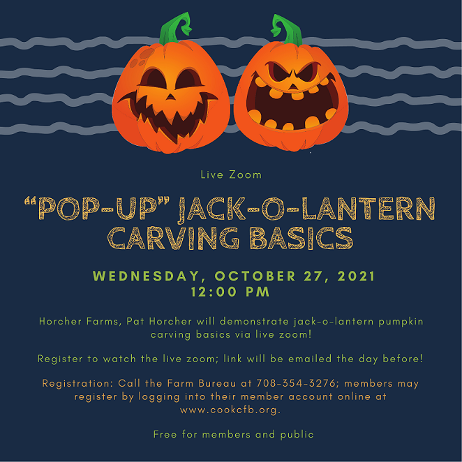 Pumpkin Carving Basics