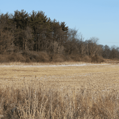 Forest Preserve Budget Assumes