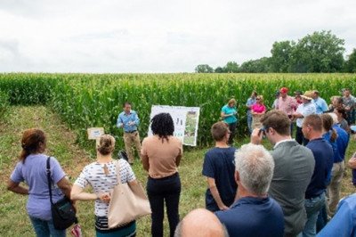 IL NLRS ccfb efforts