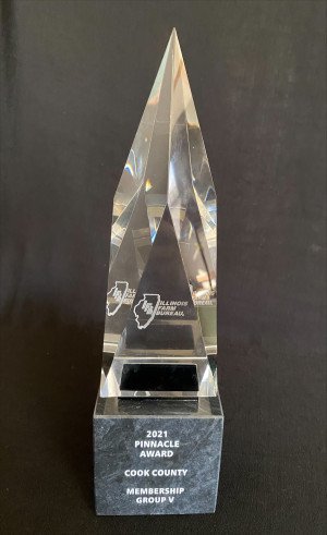 Pinnacle Award