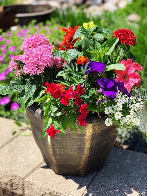 Butterfly Planters