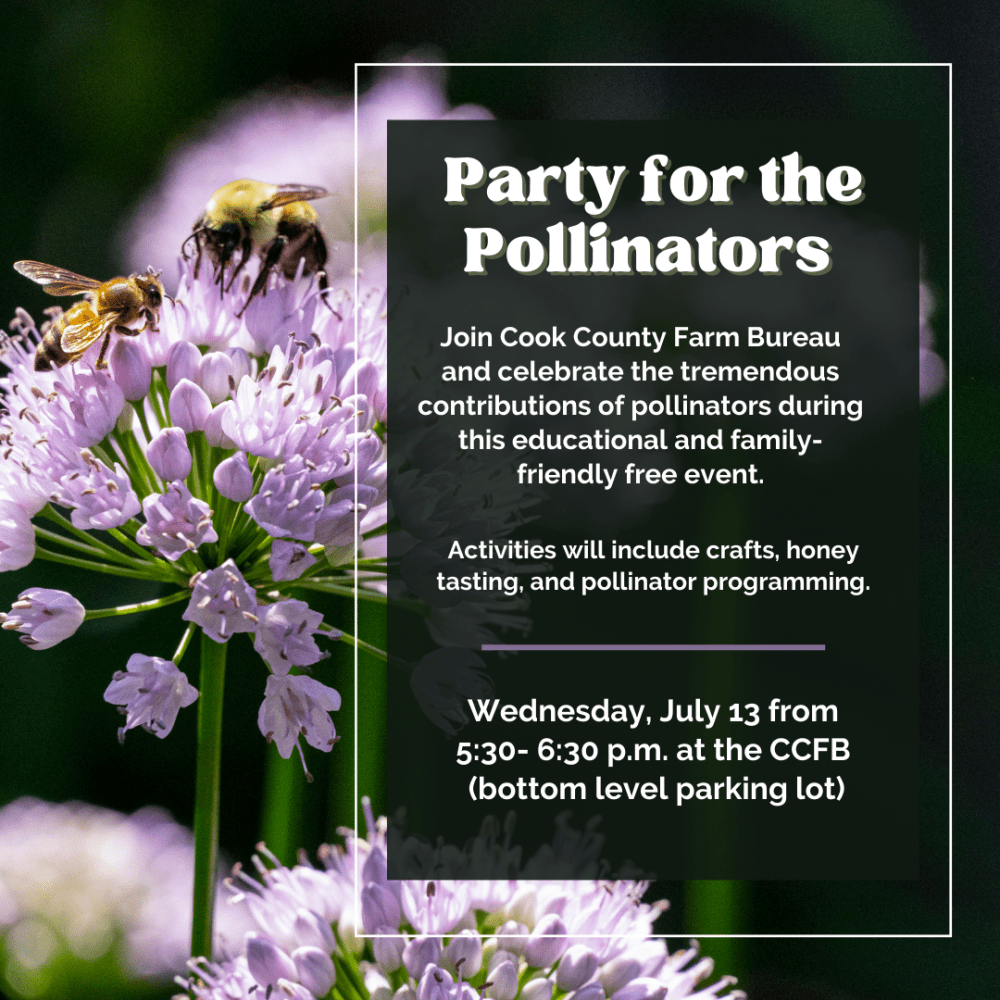 Party for Pollinators