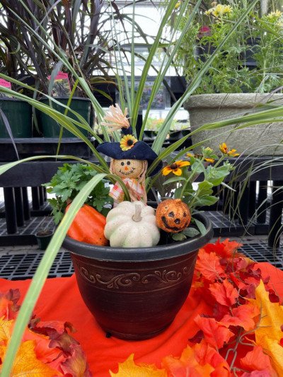 Fall Planter 1