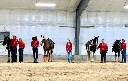 NLFR horses donated to CHSAS