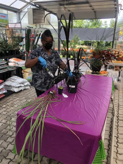 Kim Farmer Planter