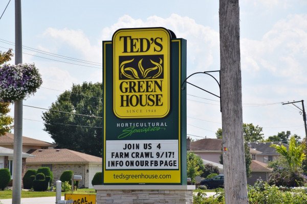 Teds