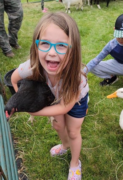 Lisa Nehls Farm Animals