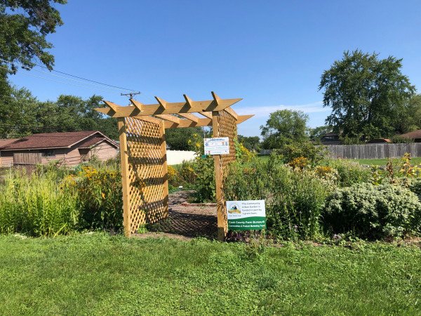Oak Forest Pollinator Garden 1