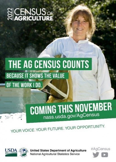 Census