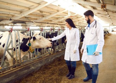 Animal Sciences