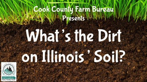 Soil Presentation Photo