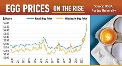 Egg Prices