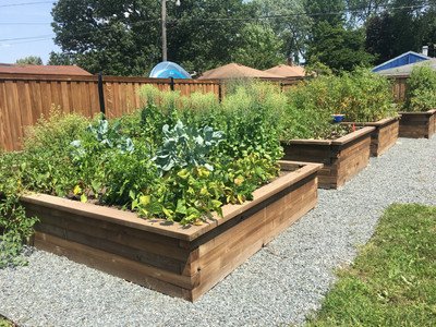 Roger Freeman garden