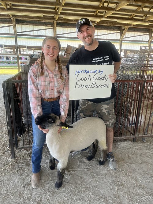 Lake Co Fair