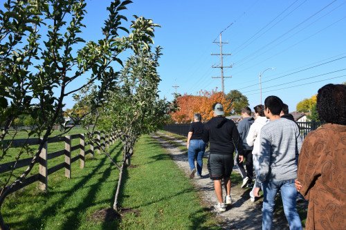 Apple Farm Shadow Orchard Tour