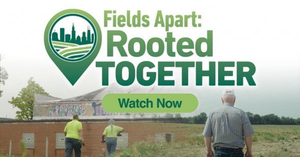 Fields Apart Rooted Together