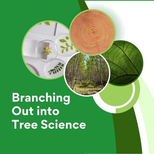 Branching Out into Tree Science 1