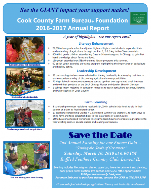 2017FoundationReport