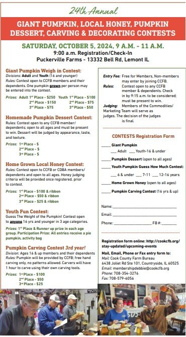pumpkin contest