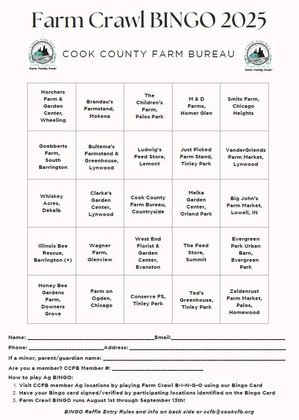 Bingo cover pic