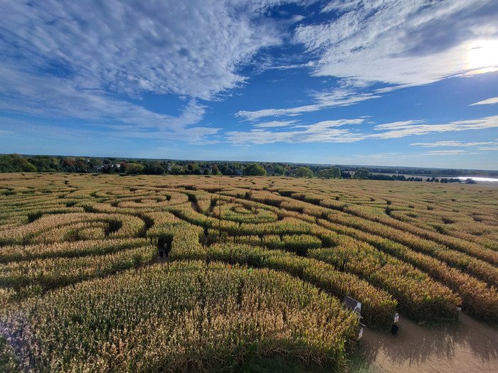 Visit to the largest corn maze_Stephanie Oehmen