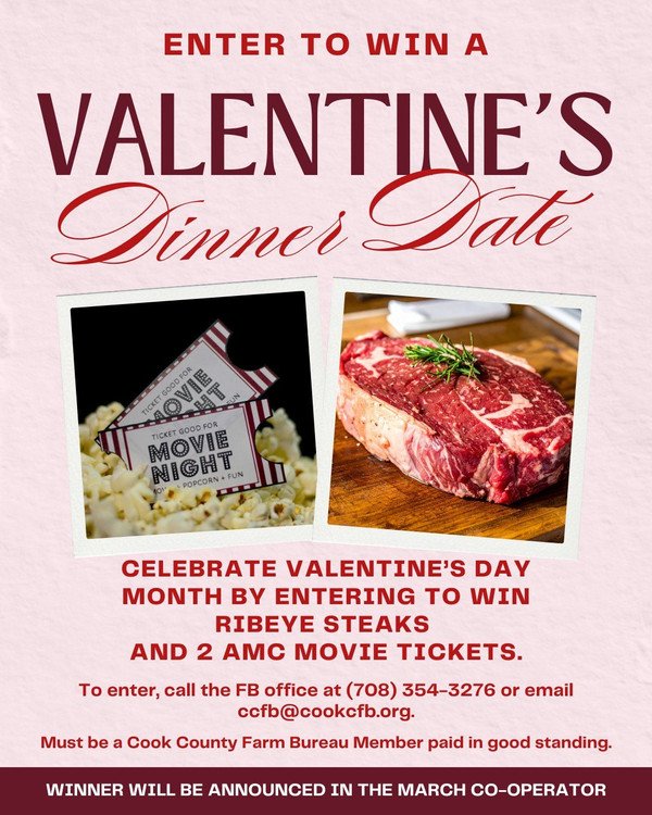 VDay Dinner Date