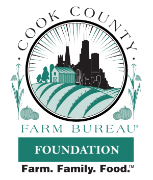 Cook--Foundation-01_crop_672_792