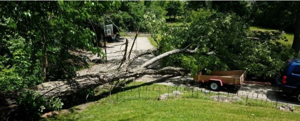 Bobs driveway
