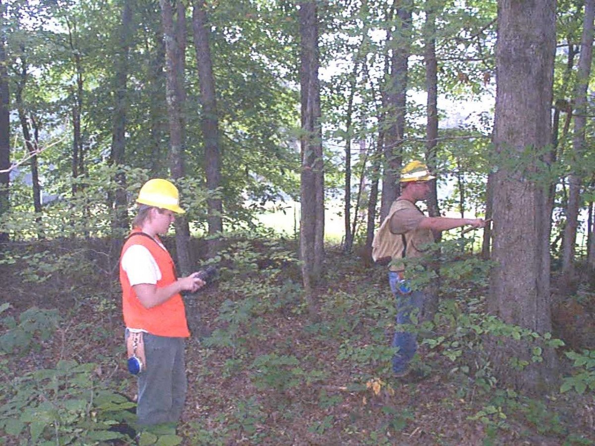 Forestry management